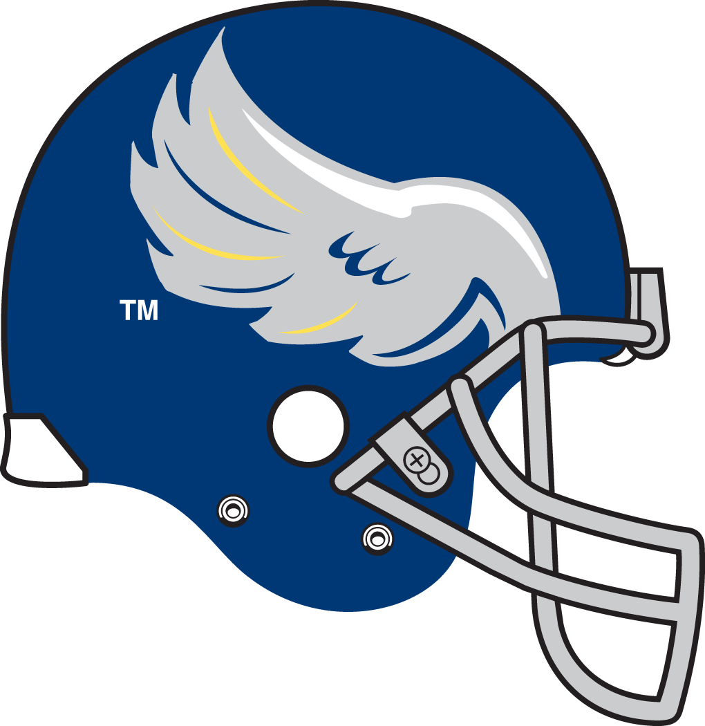 Rice Owls 1997-2005 Helmet Logo DIY iron on transfer (heat transfer)